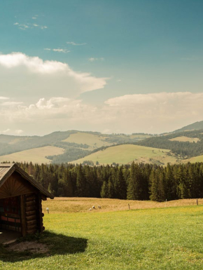 Afbeelding van een Schilderachtig Slowaaks Platteland Met Houten Hut.