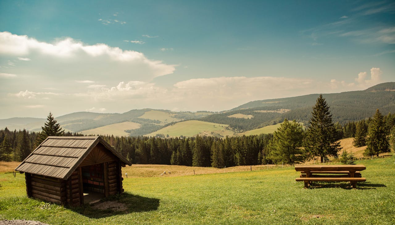 Afbeelding van een Schilderachtig Slowaaks Platteland Met Houten Hut.