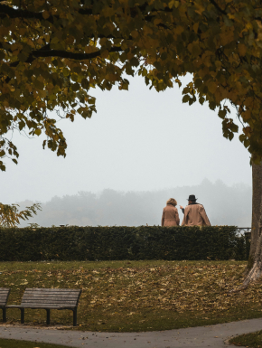 Afbeelding van een park met daarin een boom, en een bankje langs het voetpad, met op de achtergrond een panoramauitzicht