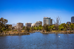 Afbeelding van een meer met daarachter bomen en op de skyline grote woonflats.