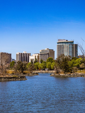 Afbeelding van een meer met daarachter bomen en op de skyline grote woonflats.