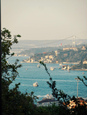 Panoramisch Uitzicht Op De Bosporus En De Brug Van Istanbul