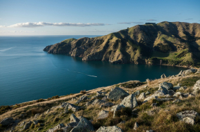 Afbeelding van de kust van Nieuw-Zeeland.