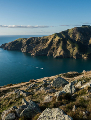 Afbeelding van de kust van Nieuw-Zeeland.